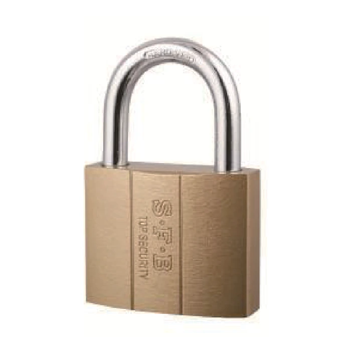 Spray-painted iron padlock - supplied SFB product image